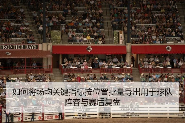 如何将场均关键指标按位置批量导出用于球队阵容与赛后复盘